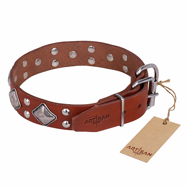 Tan Leather Dog Collar with Small Round Studs