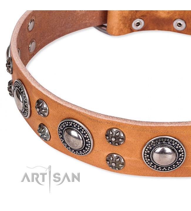 Tanqueray Gin Fan Designer Dog or Cat Collar – Custom Design Dog Collars