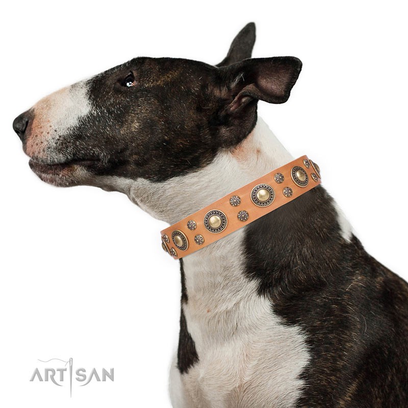 Luxury dog collar in yellow black or brown with elegant ornaments