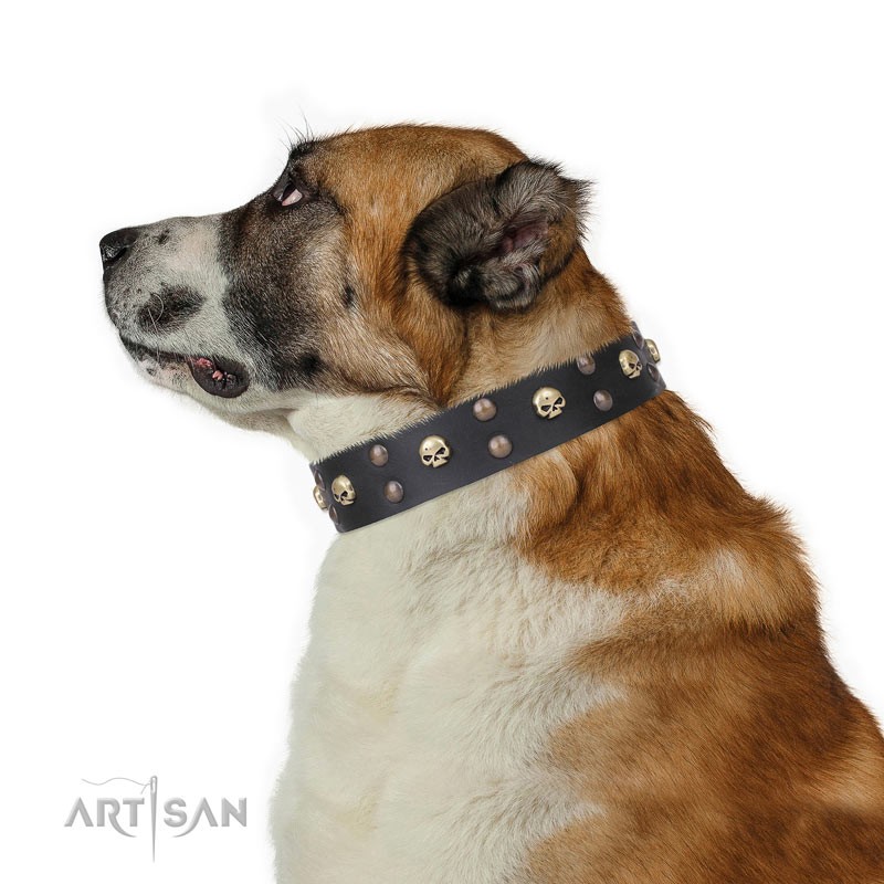 studded leather dog collars