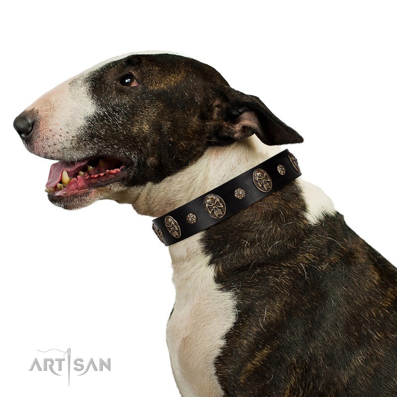 Get Designer Dog Collar with Square Brass Studs for Walking