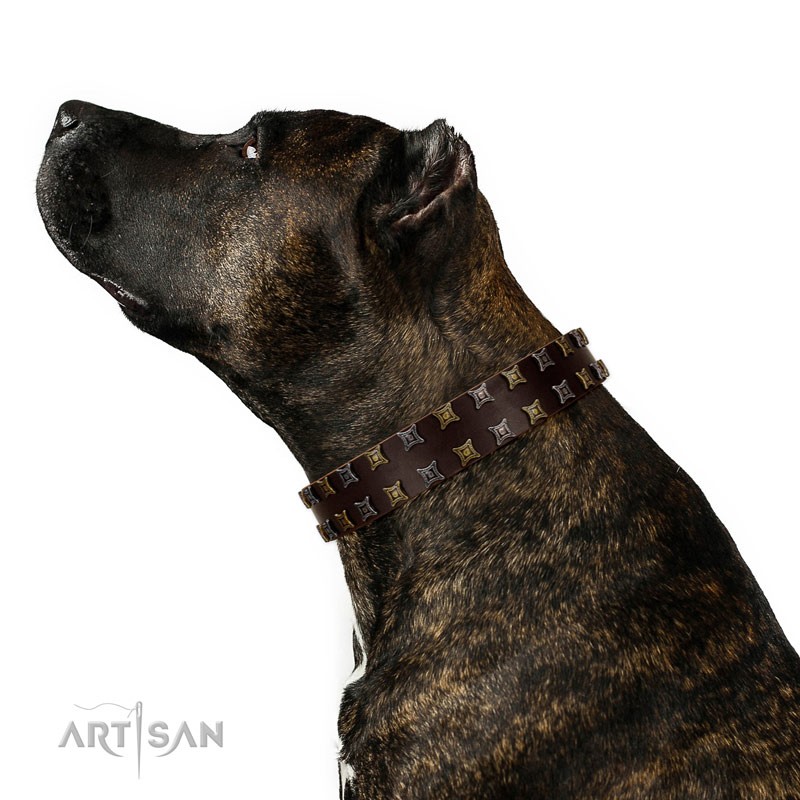Fido's Pleasure FDT Artisan Brown Leather Dog Collar with Amazing