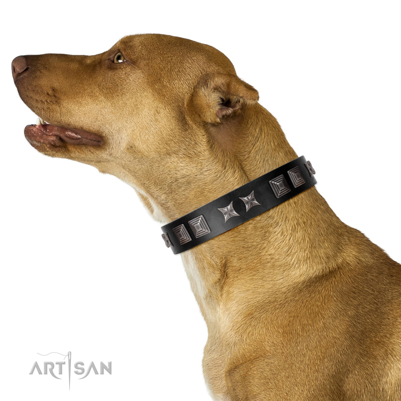 Leather dog collar , Dog collar handmade , Luxury leather dog collar