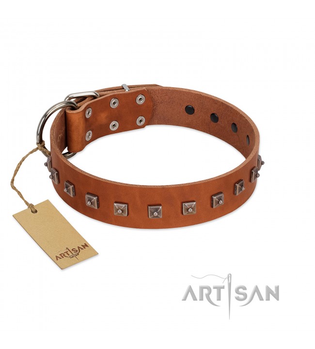 designer small dog collars